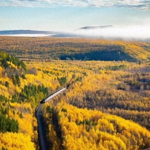 你可能不认识我，但一定认识我拍的铁路！