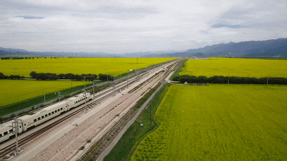 铁路上总说的“限界”是什么