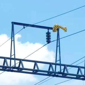 高铁:为什么怕“异物”？