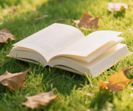 联锁系统典型车站的列车进路的建立及排路