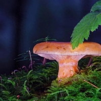 公务员考试，选拔的不是高智商，也不是高情商，而是这8种能力 ...