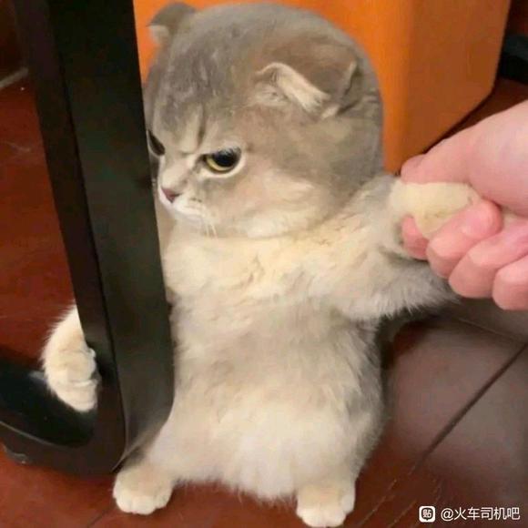 求DF4C,电器动作试验过程-1.jpg