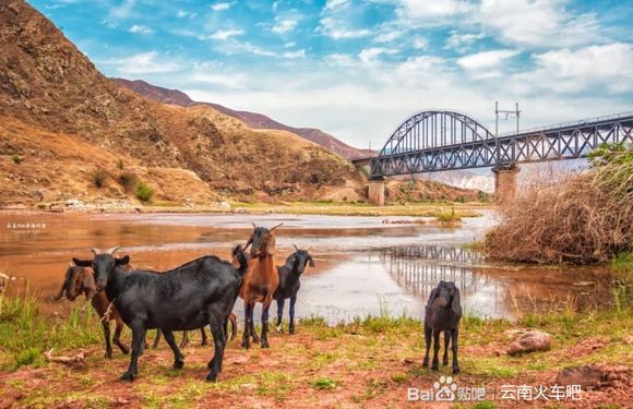 实纪 | 纪念2020即将远去的背影——成昆铁路金沙江段合辑-36.jpg