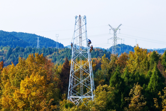 国家电网：加快电网建设 赋能绿色发展-24.jpg