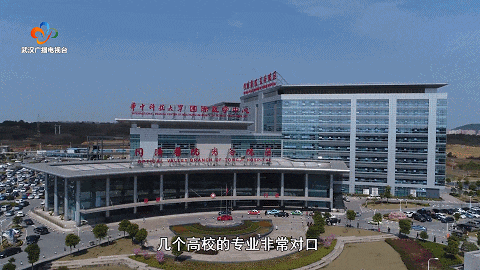 新开“专列”，即将发车！武汉直达北京、上海→