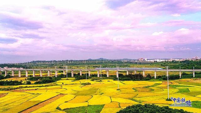 复兴号和金色稻田同框啦 震撼秋景大赏↓↓