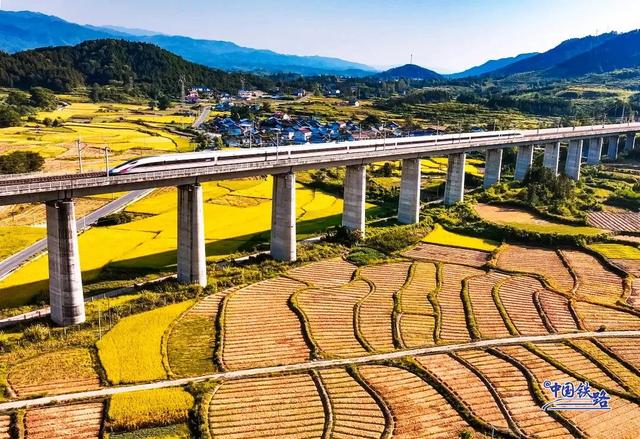 复兴号和金色稻田同框啦 震撼秋景大赏↓↓