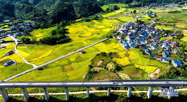 复兴号和金色稻田同框啦 震撼秋景大赏↓↓