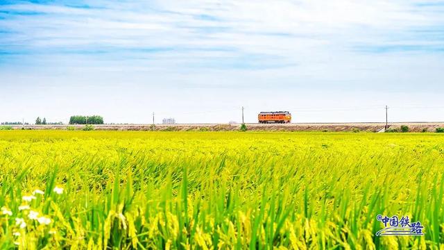 复兴号和金色稻田同框啦 震撼秋景大赏↓↓