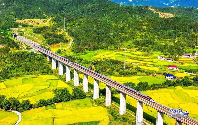 复兴号和金色稻田同框啦 震撼秋景大赏↓↓