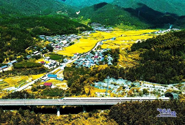 复兴号和金色稻田同框啦 震撼秋景大赏↓↓