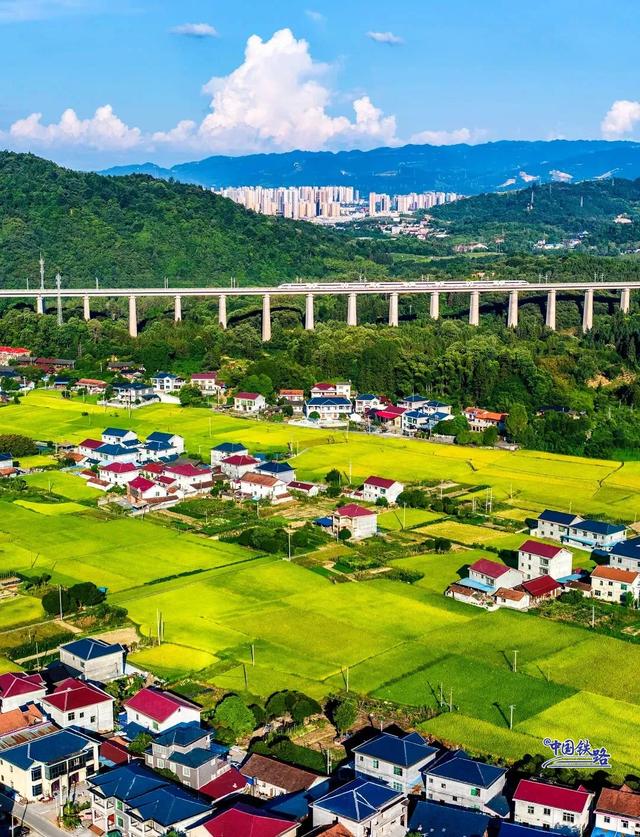 复兴号和金色稻田同框啦 震撼秋景大赏↓↓