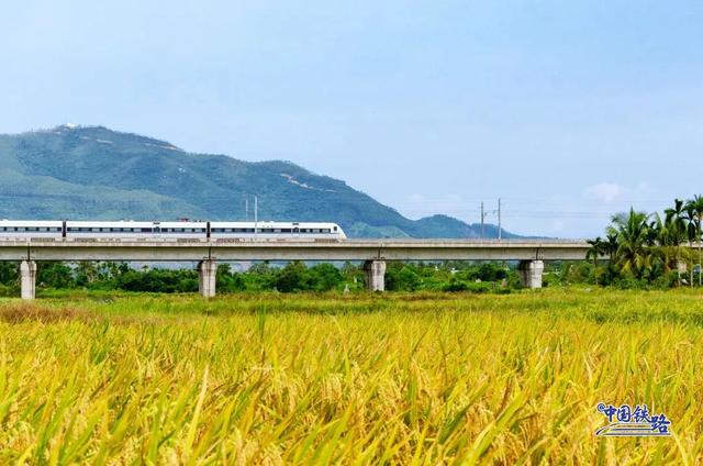 复兴号和金色稻田同框啦 震撼秋景大赏↓↓