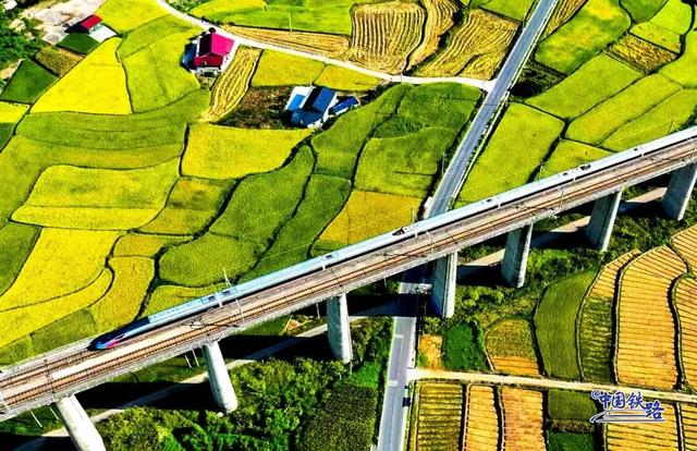 复兴号和金色稻田同框啦 震撼秋景大赏↓↓
