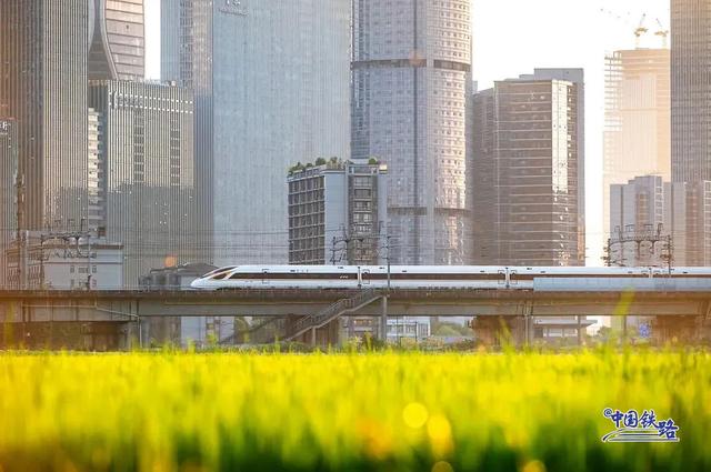 复兴号和金色稻田同框啦 震撼秋景大赏↓↓