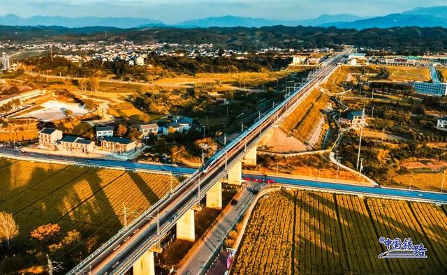 金灿灿黄澄澄！看复兴号穿越秋日稻田