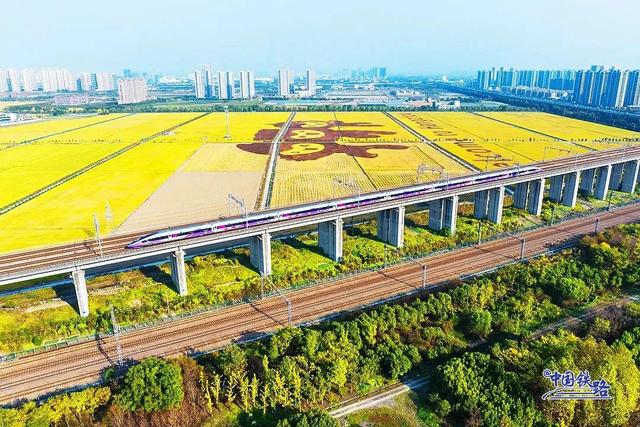 震撼秋景！复兴号穿越金色稻田