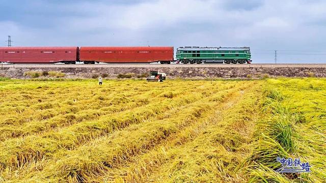 震撼秋景！复兴号穿越金色稻田