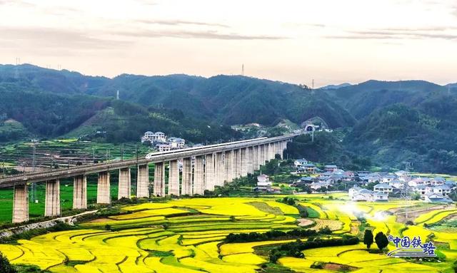 震撼秋景！复兴号穿越金色稻田