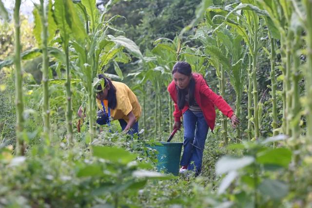 她们的童年，起点就是复兴号！