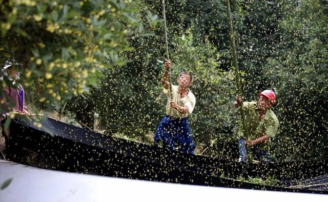限时福利！凭高铁票享优惠！