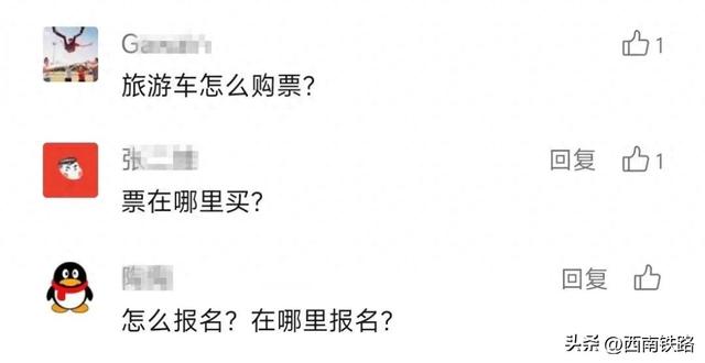 还没坐过旅游列车？最全攻略来了→