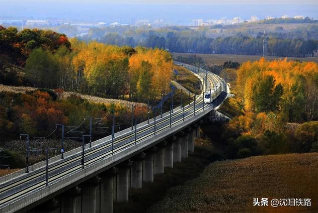 这些铁路桥梁，你最喜欢那一座?