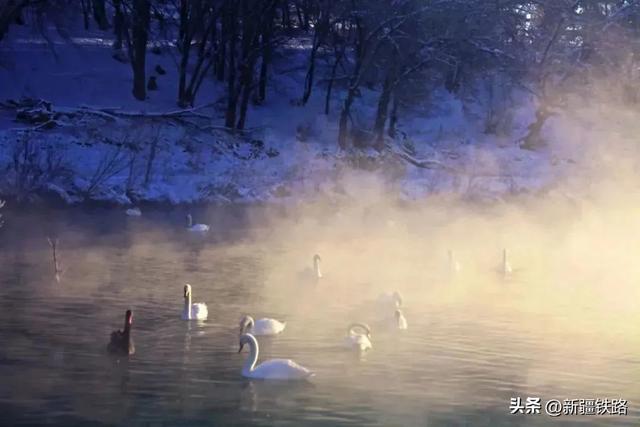 “复兴号”直达！我在大美新疆等你来
