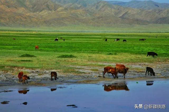 “复兴号”直达！我在大美新疆等你来