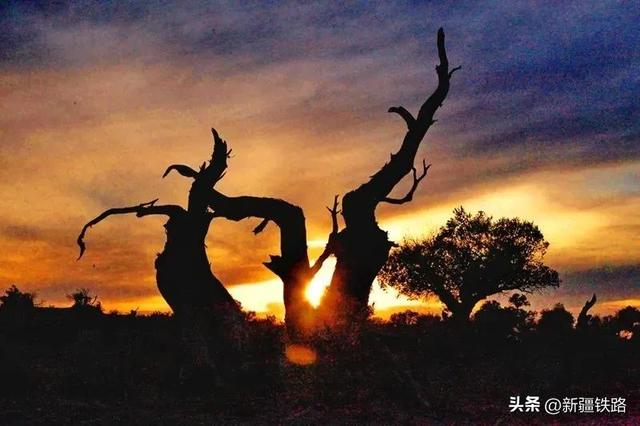 “复兴号”直达！我在大美新疆等你来