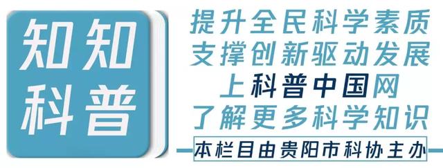 高铁和动车究竟有何不同？坐了这么久，该分清楚了