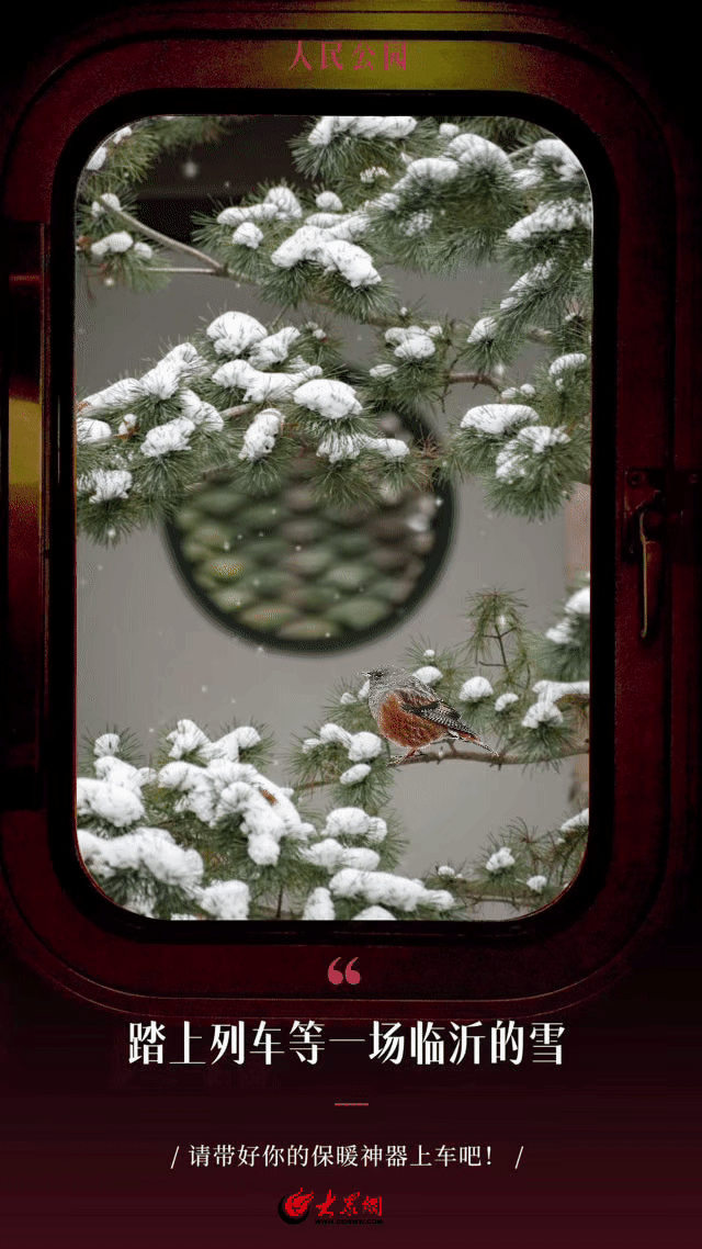 GIF组图｜踏上列车，等一场临沂的雪