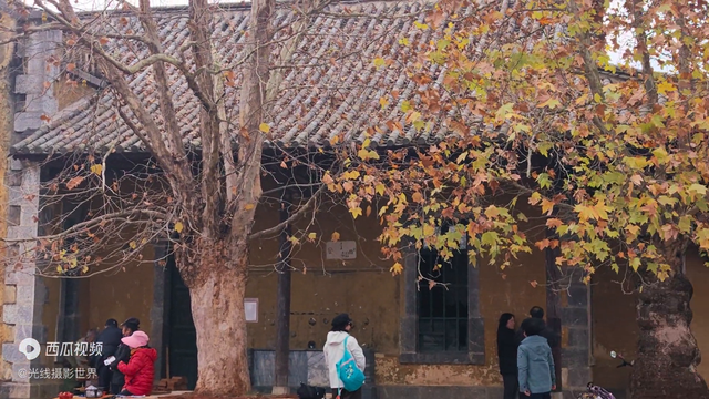 打卡云南建水米轨小火车，近百年历史的法式风情乡会桥站