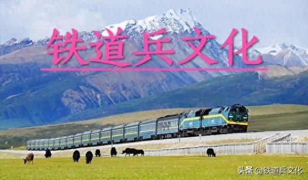 “柏赖子”的贡献——襄渝铁路险滩沟隧道遇险亲历记 作者/韩怀仁