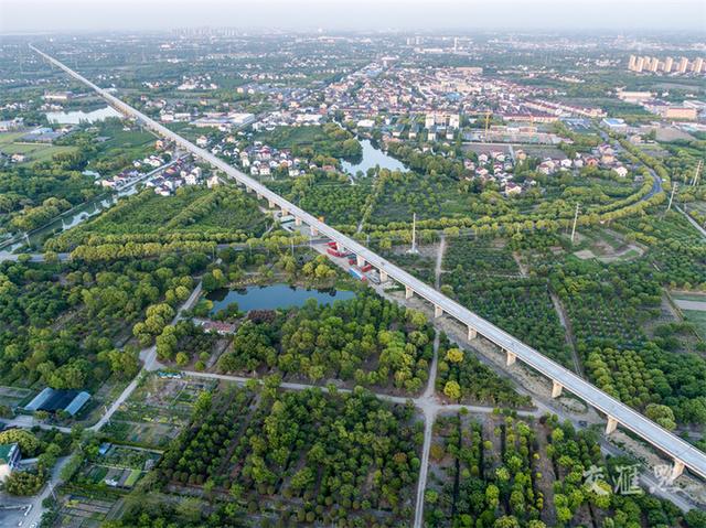 “沪苏湖”高铁高清美图来了，“包邮区”又添新动脉