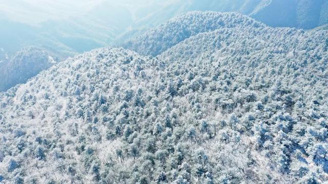 跟着这趟高铁专列，开启天台山诗路探寻之旅！