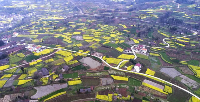 50年邓小平提出修建成渝铁路，中央决定搁置，邓：三个原因必须修