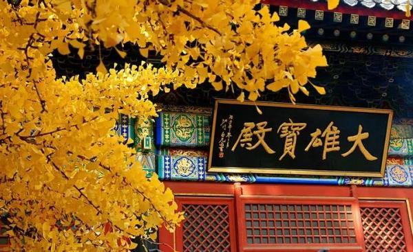 “最美”列车今起恢复正常运营！还有好消息……