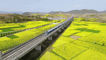 2024：那些关于铁路的温暖时刻