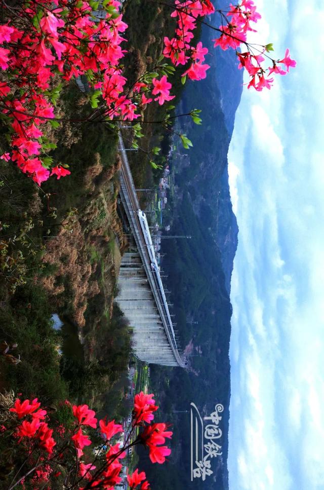 特辑｜跨越山河，中国4万公里高铁如何纵横延展？