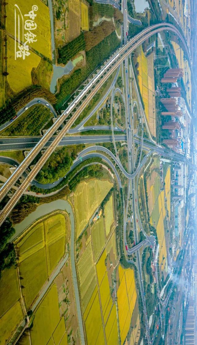 特辑｜跨越山河，中国4万公里高铁如何纵横延展？