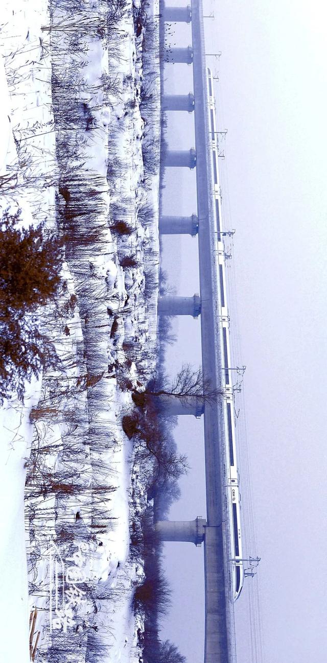 特辑｜跨越山河，中国4万公里高铁如何纵横延展？