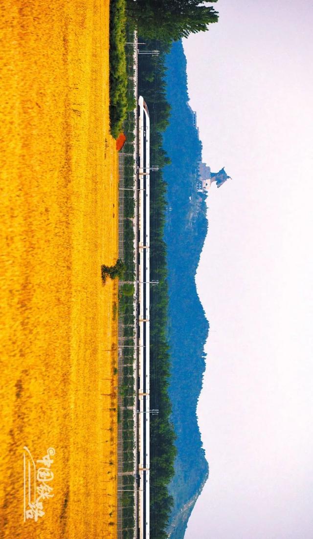 特辑｜跨越山河，中国4万公里高铁如何纵横延展？