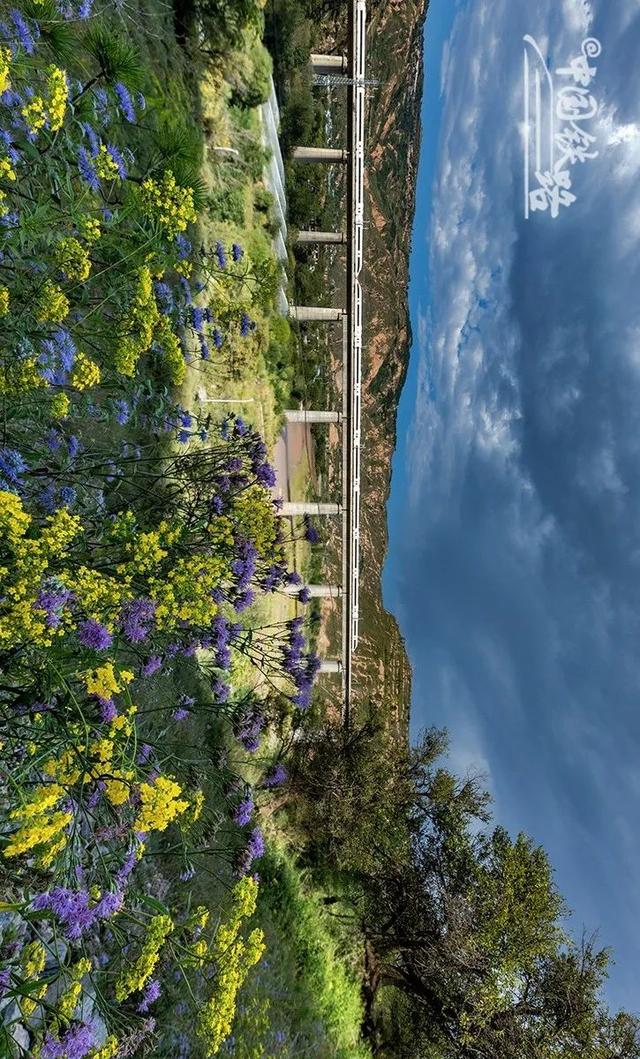 特辑｜跨越山河，中国4万公里高铁如何纵横延展？