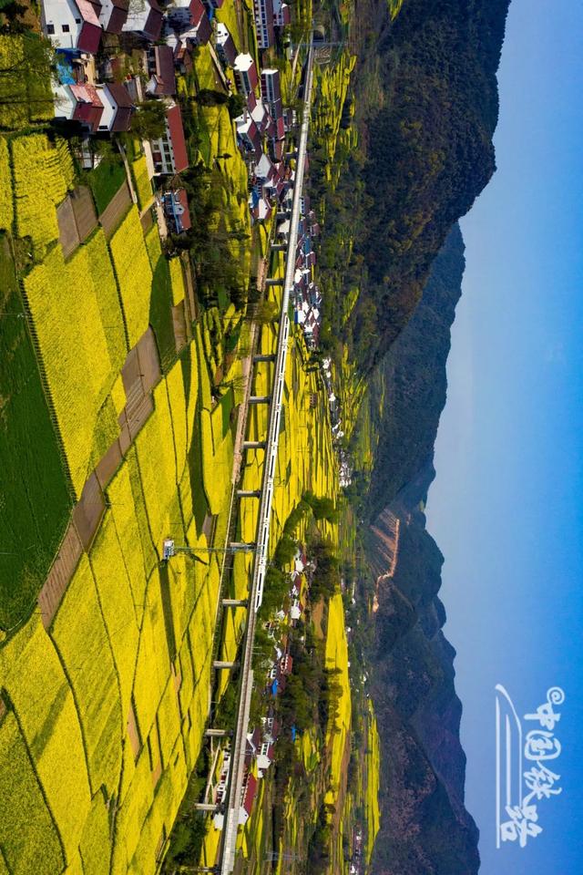 特辑｜跨越山河，中国4万公里高铁如何纵横延展？