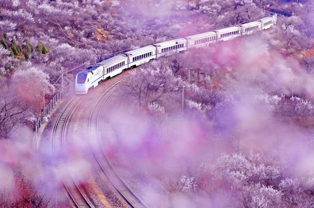 这些“网红列车”，你都坐过吗？