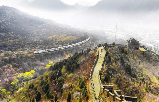 这些“网红列车”，你都坐过吗？