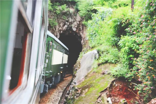 这些“网红列车”，你都坐过吗？