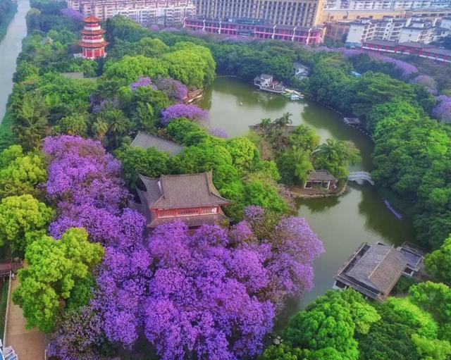 这些“网红列车”，你都坐过吗？