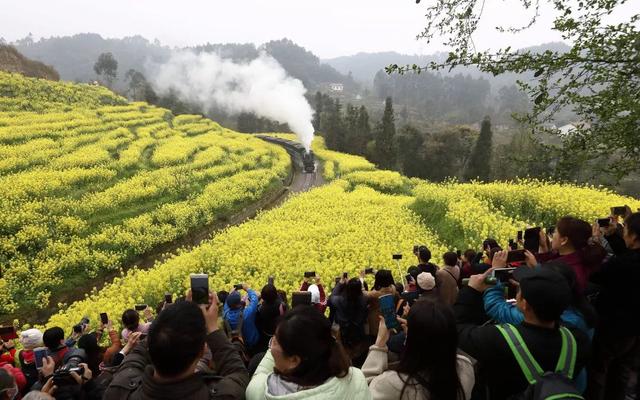 这些“网红列车”，你都坐过吗？